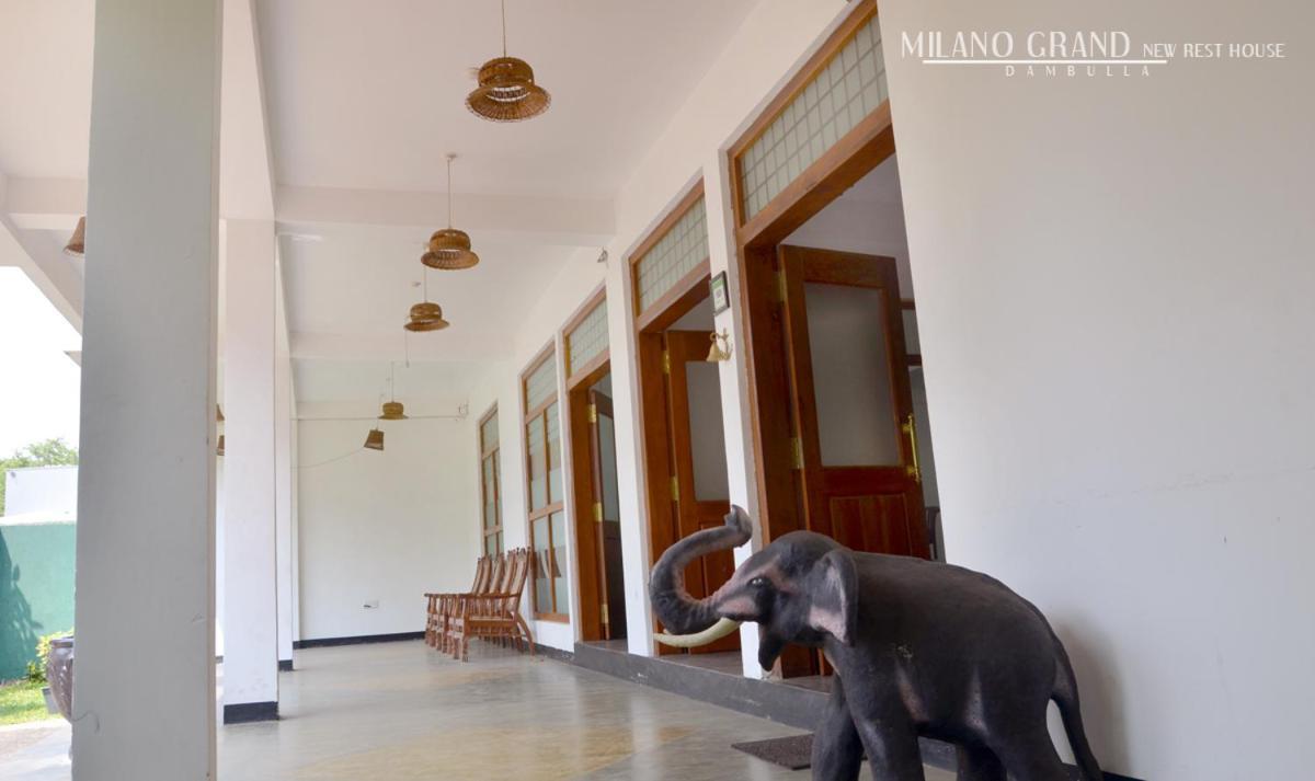 Milano Grand Hotel Dambulla Bagian luar foto